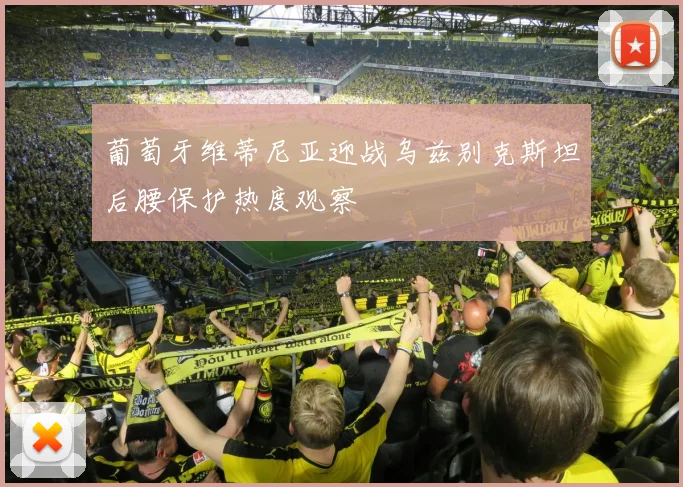 葡萄牙维蒂尼亚迎战乌兹别克斯坦后腰保护热度观察