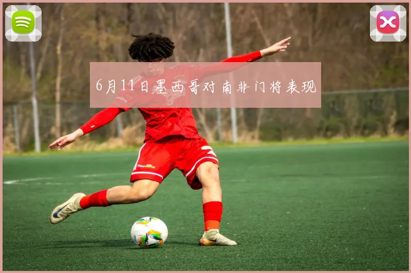 6月11日墨西哥对南非门将表现