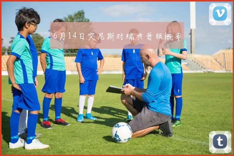 6月14日突尼斯对瑞典晋级概率
