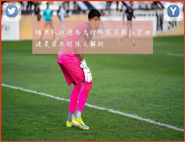 瑞典队林德洛夫对阵突尼斯防守回追是否及时焦点解析