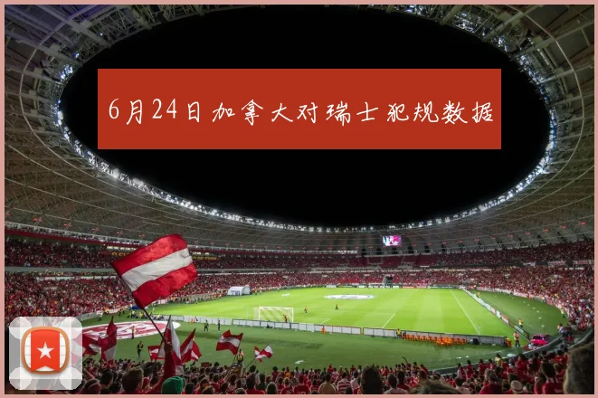 6月24日加拿大对瑞士犯规数据